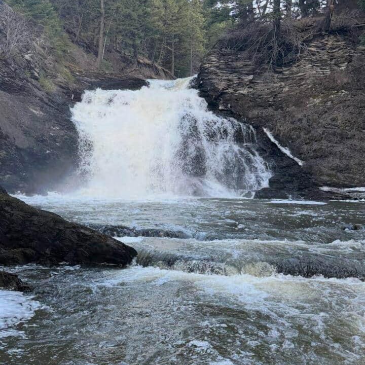 Photo of Others in East Glacier Park
