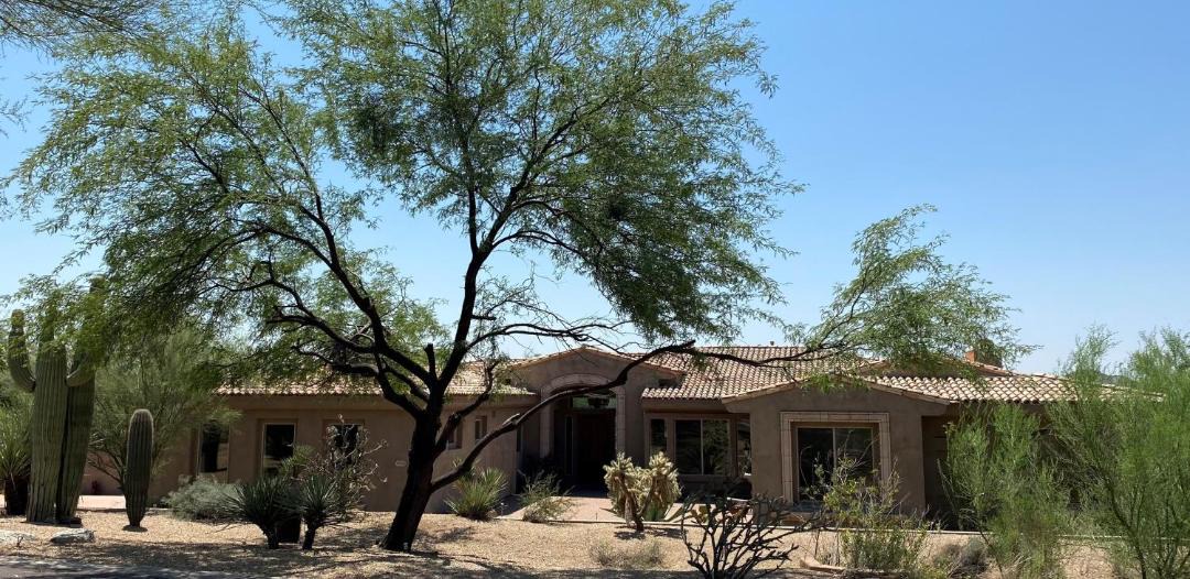 Photo of Others in Desert Vista