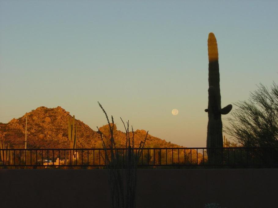 Photo of Others in Desert Vista