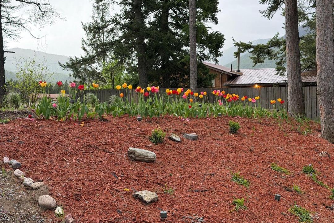 Photo of Others in Whitefish