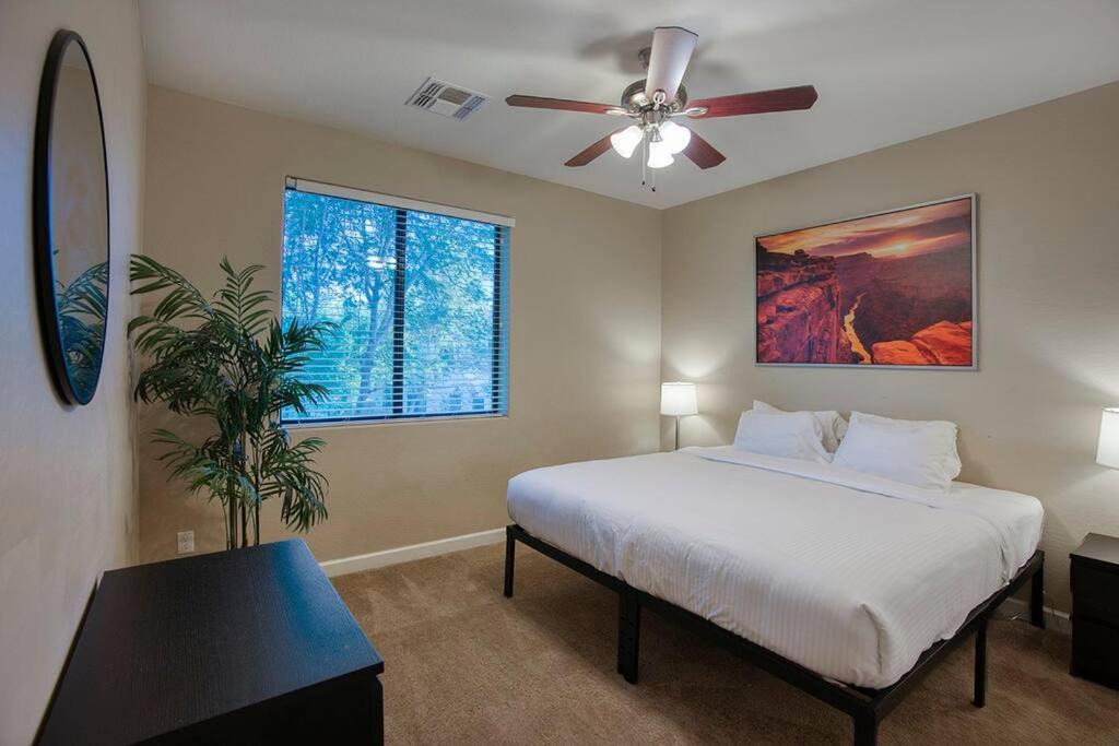 Photo of Others in South Scottsdale