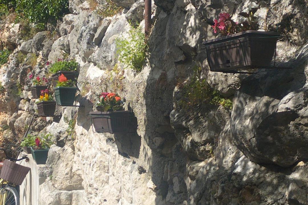 Photo of Others in Kotor