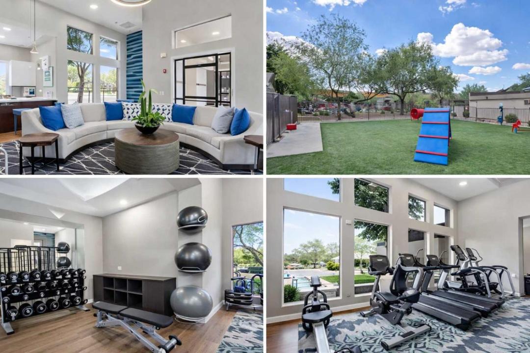 Photo of Others in McDowell Mountain Apartments