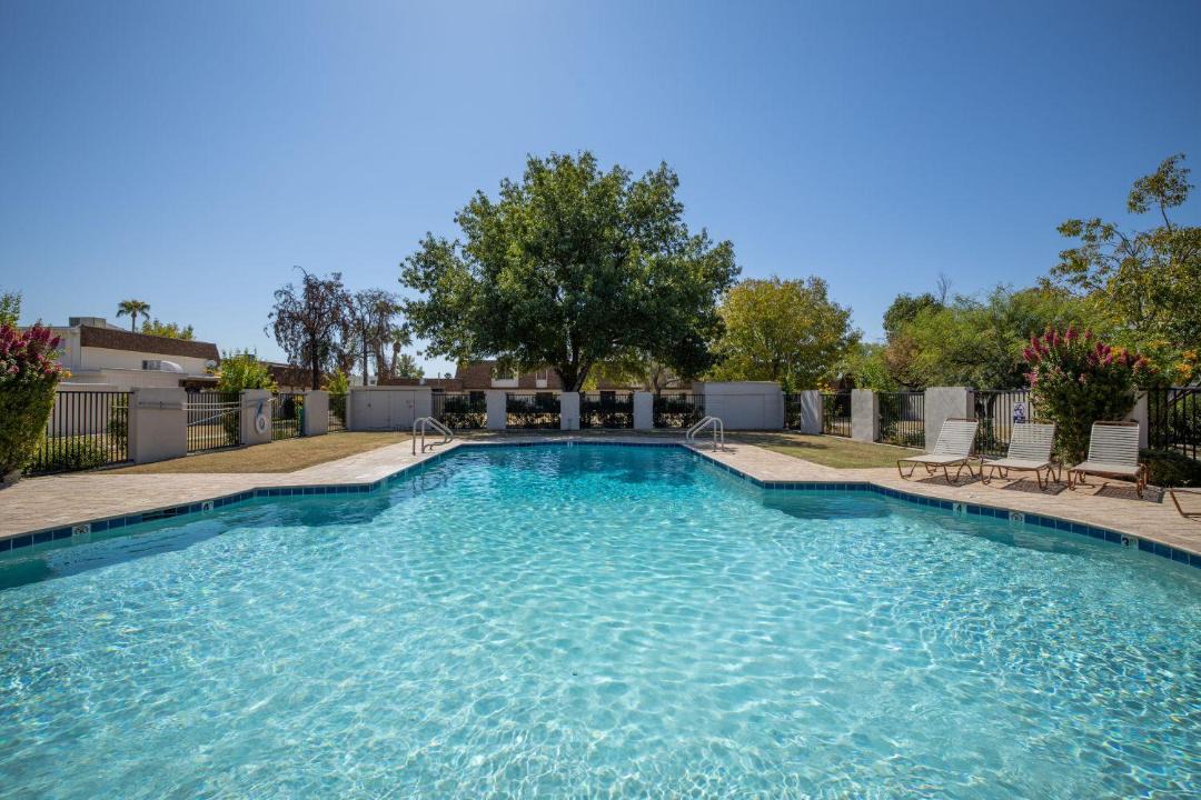 Photo of Others in South Scottsdale