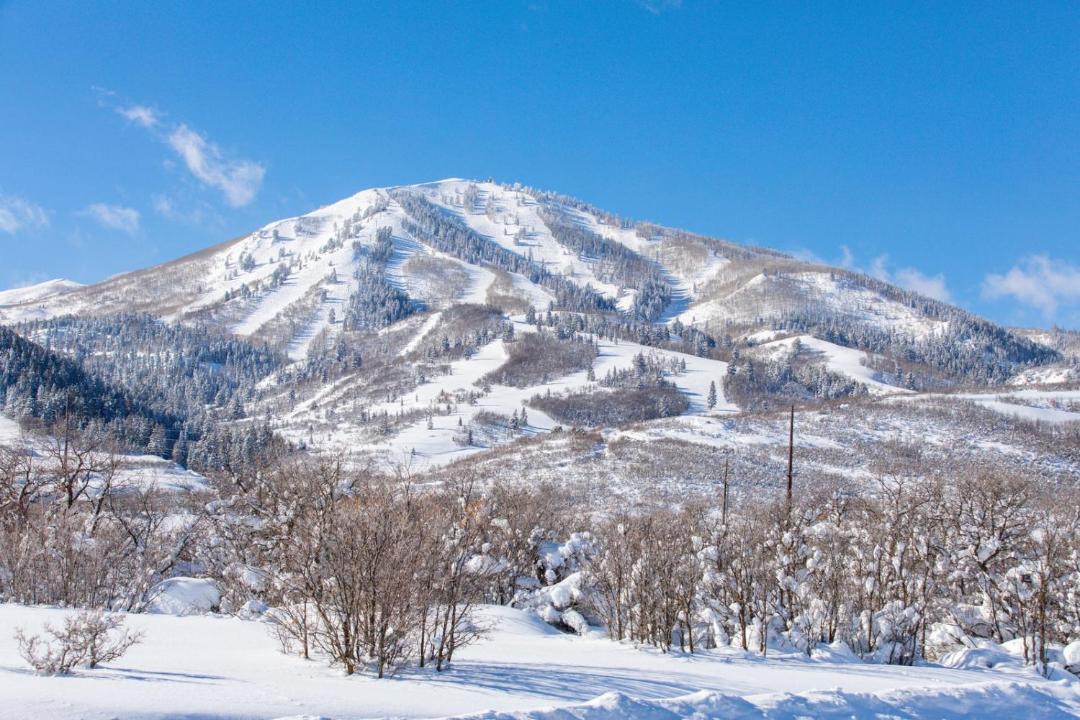 Photo of Others in Park City