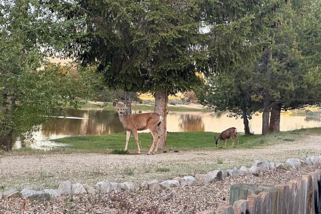 Photo of Others in Cascade