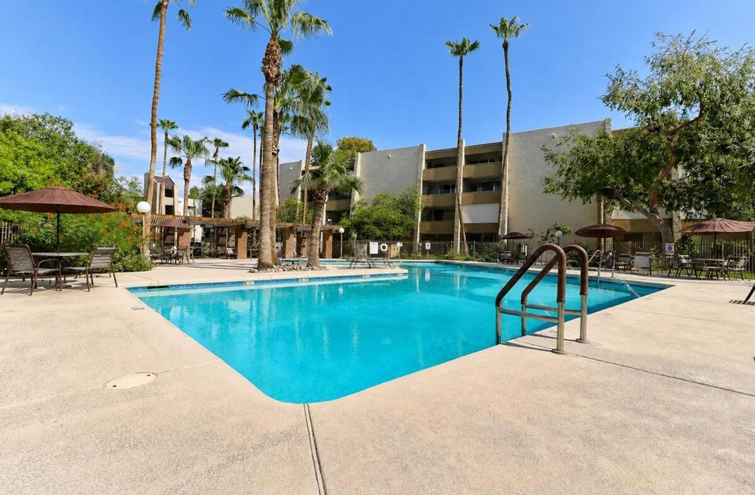 Photo of Others in South Scottsdale