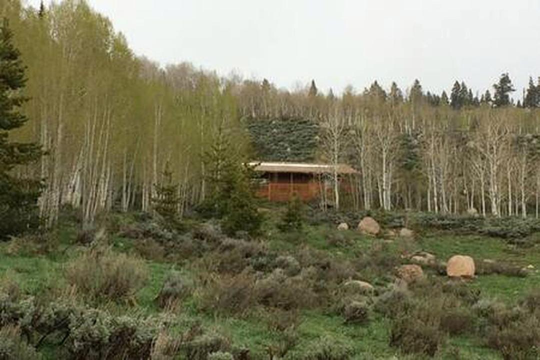 Photo of Others in Walden