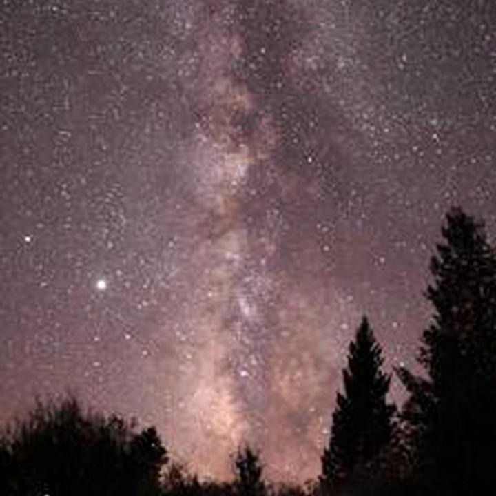 Photo of Others in Walden