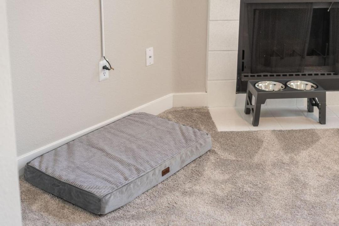 Photo of Others in McDowell Mountain Apartments