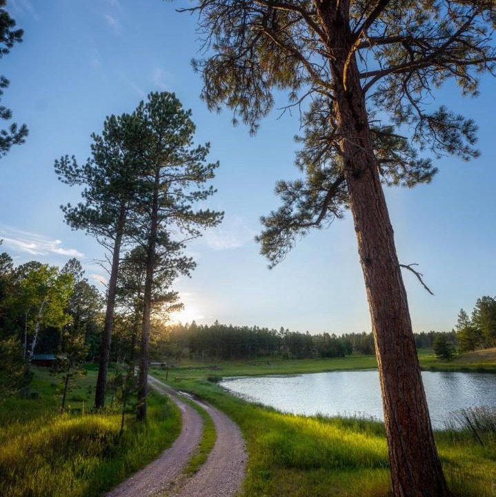 Photo of Others in Custer