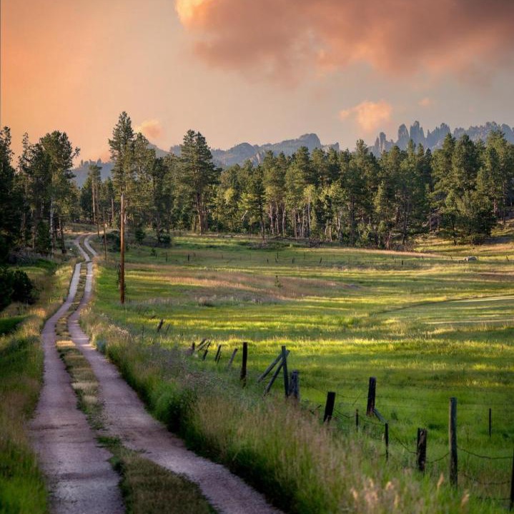 Photo of Others in Custer