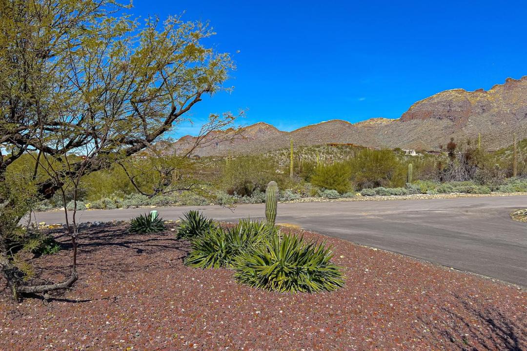 Photo of Others in The Foothills