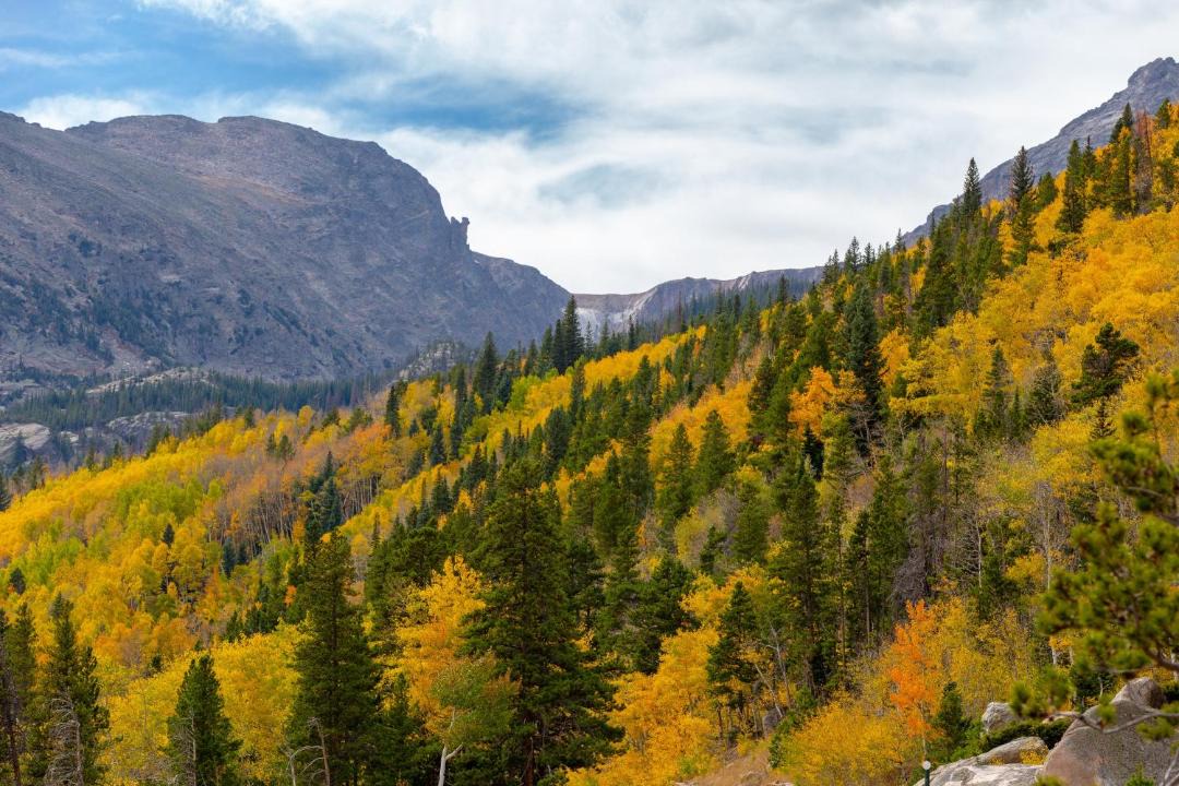 Photo of Others in Estes Park