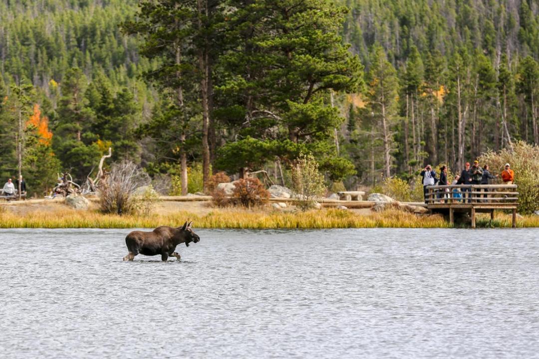 Photo of Others in Estes Park