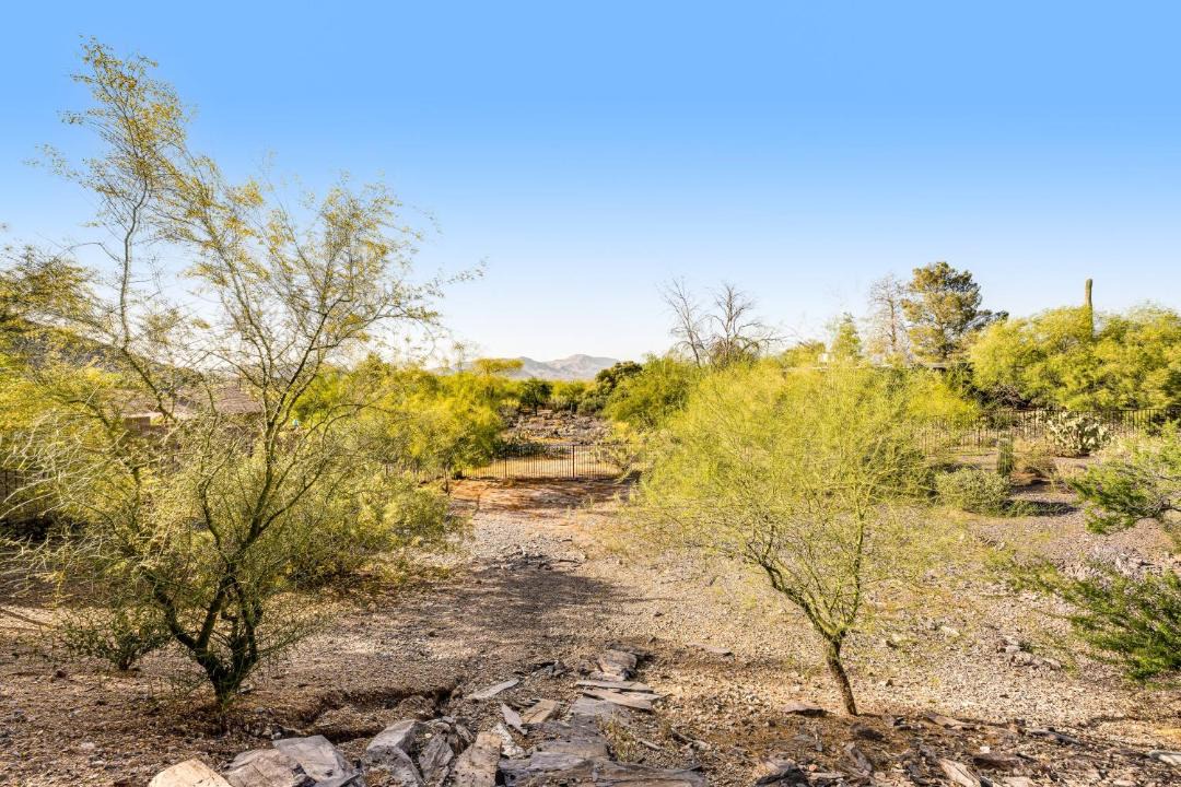 Photo of Others in Cave Creek