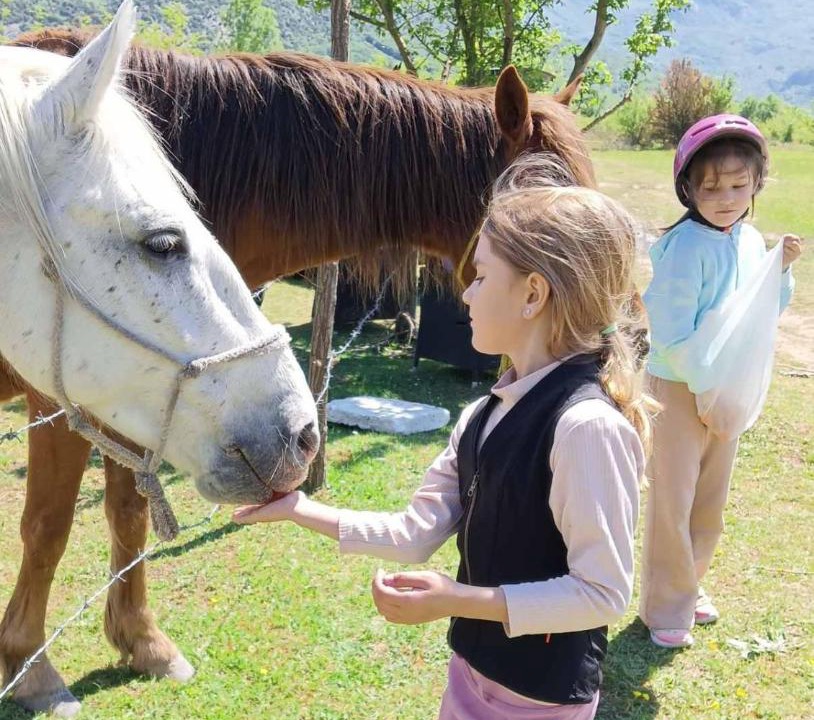 Photo of Others in Karuc