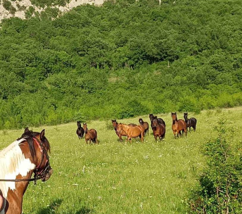 Photo of Others in Karuc