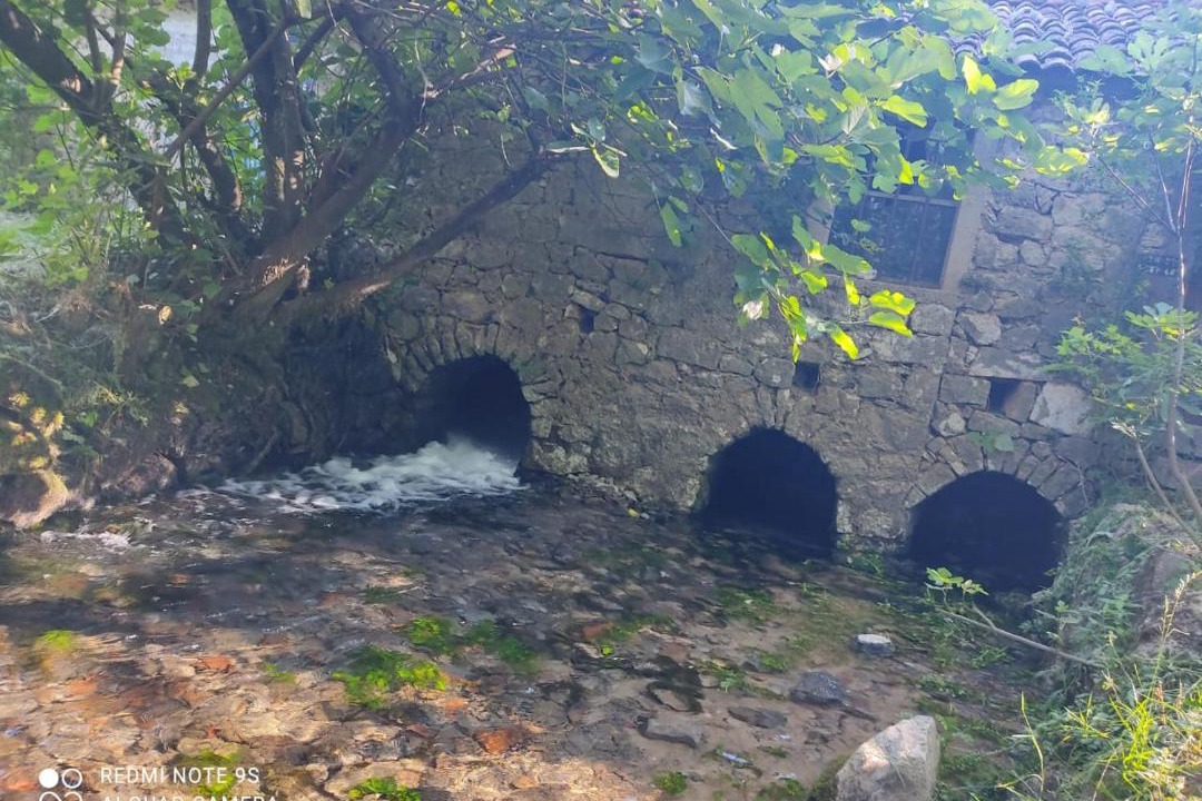 Photo of Others in Danilovgrad