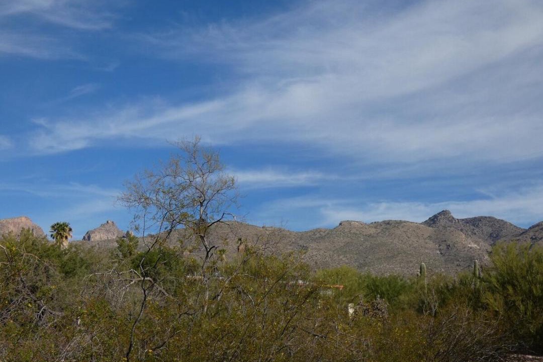 Photo of Others in Tanque Verde