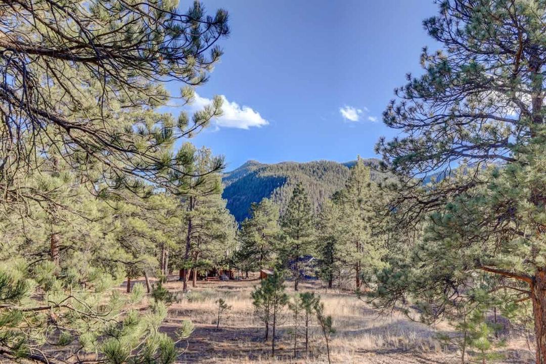 Photo of Others in Pine
