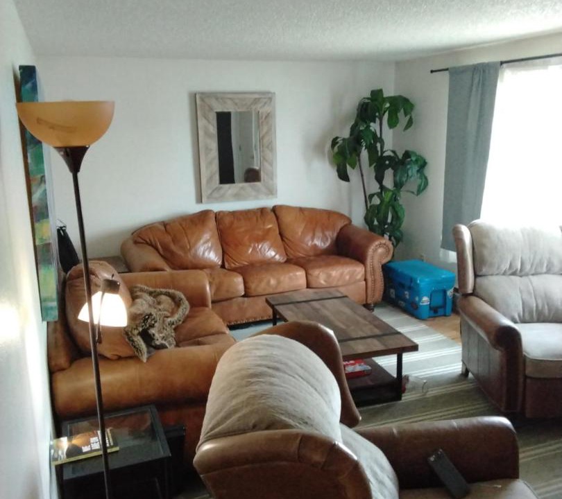Photo of Livingroom in Deer Lodge