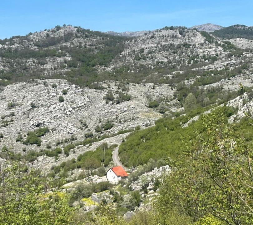 Photo of Others in Cetinje Municipality