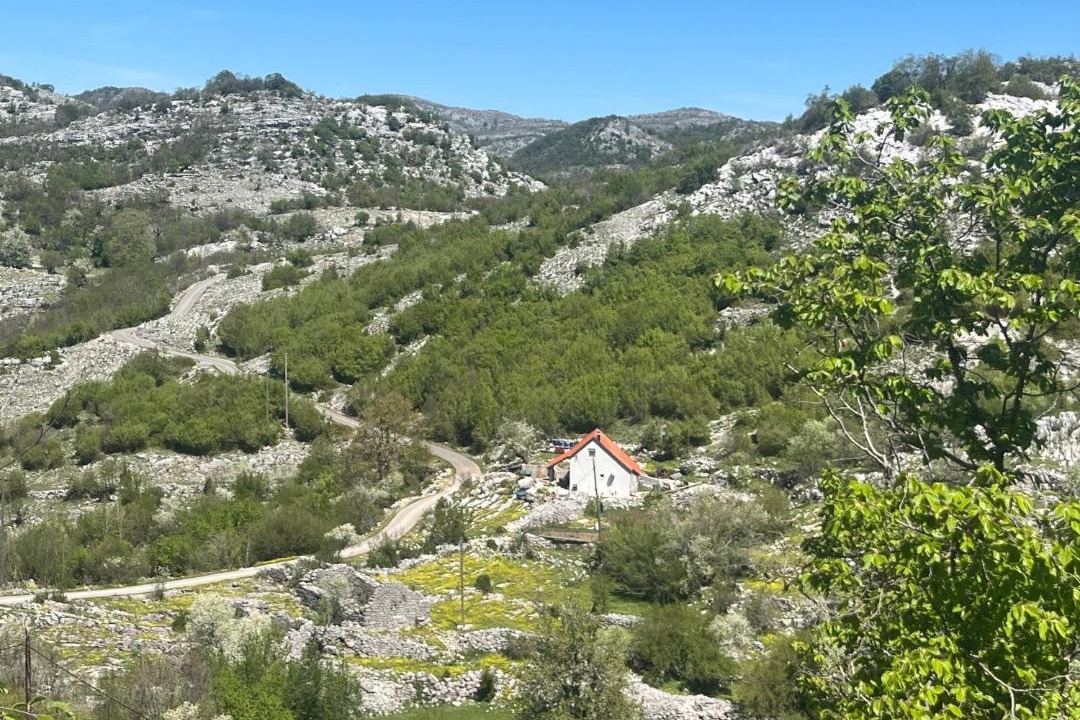 Photo of Others in Cetinje Municipality