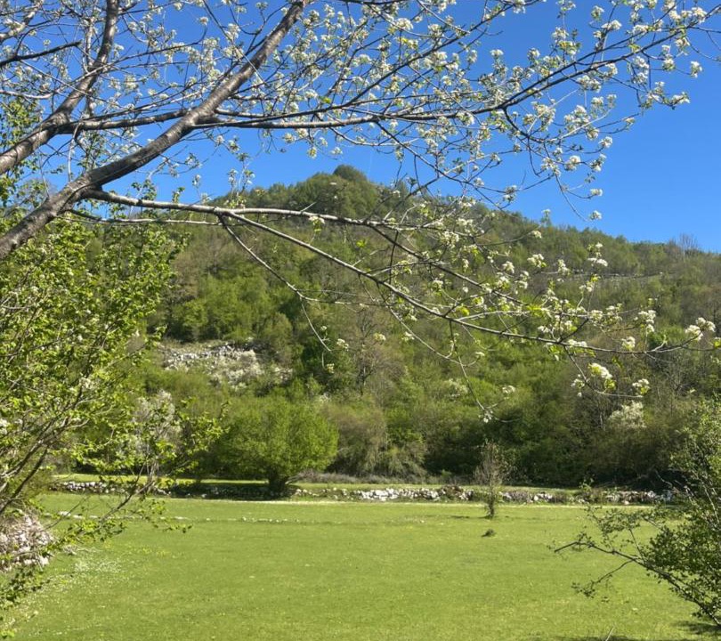 Photo of Others in Cetinje Municipality