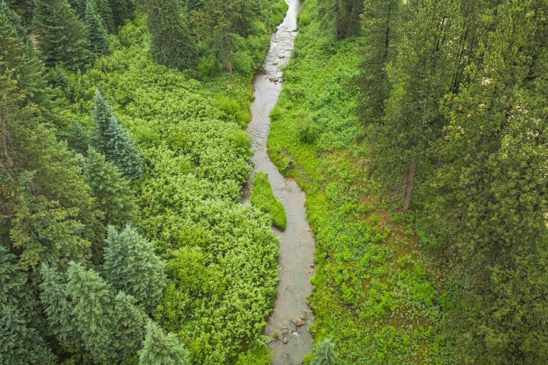 Photo of Others in Hill City