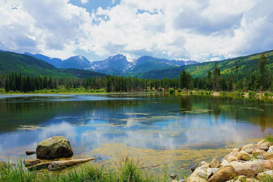Photo of Others in Fort Collins