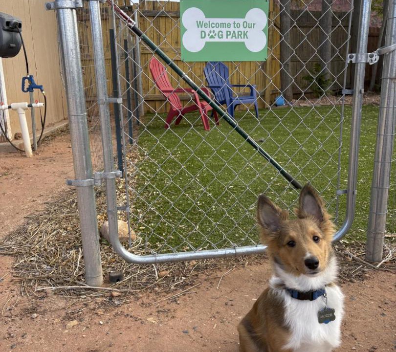 Photo of Others in Kanab