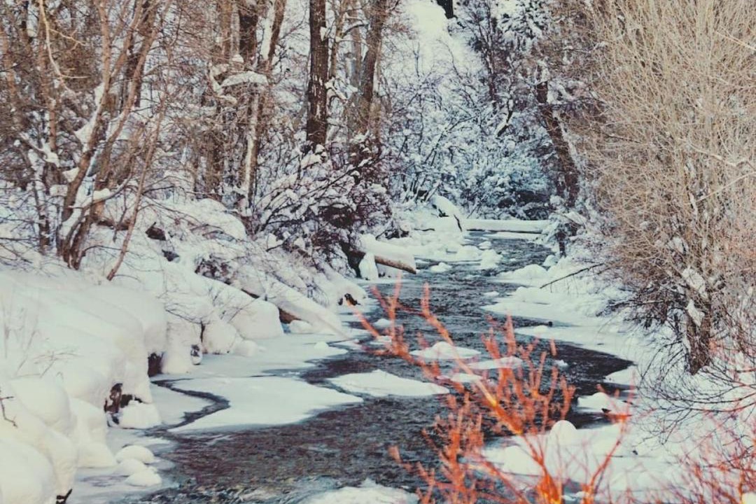 Photo of Others in Snowbird