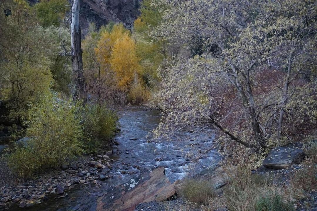 Photo of Others in Snowbird