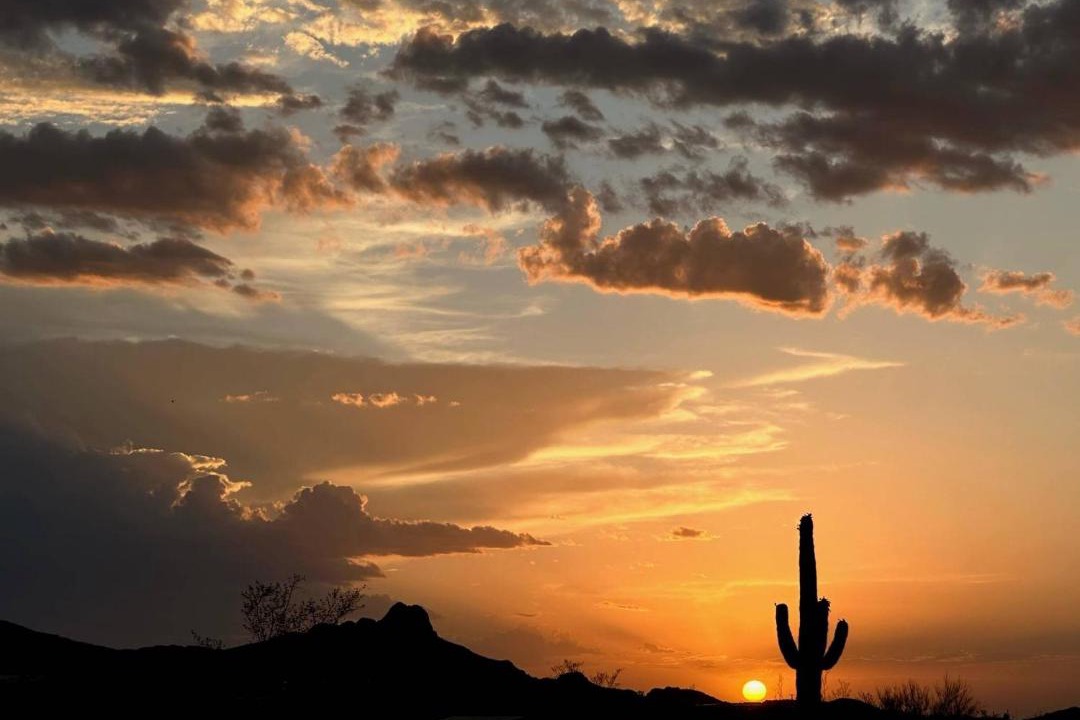 Photo of Others in Tucson