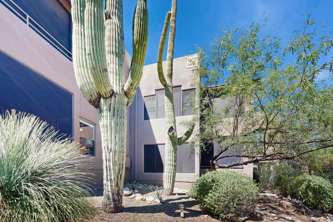Photo of Others in Tucson