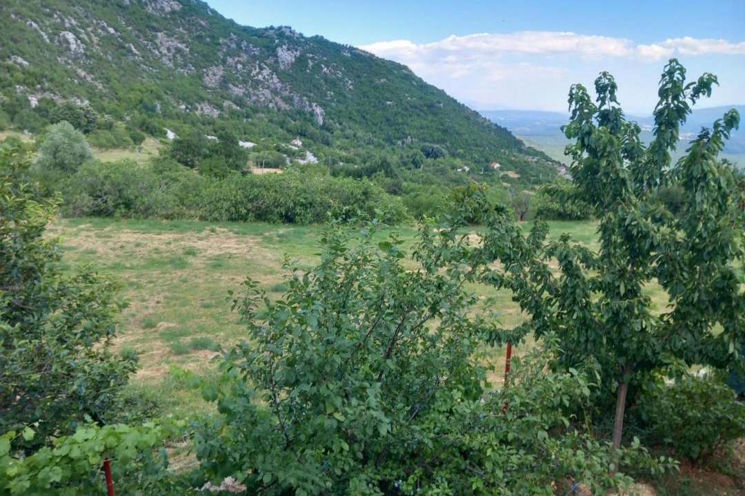 Photo of Others in Danilovgrad