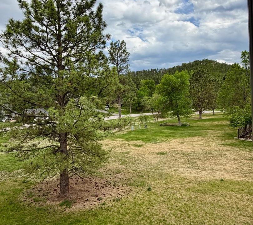 Photo of Others in Rapid City