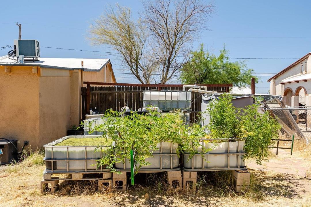 Photo of Others in Tucson