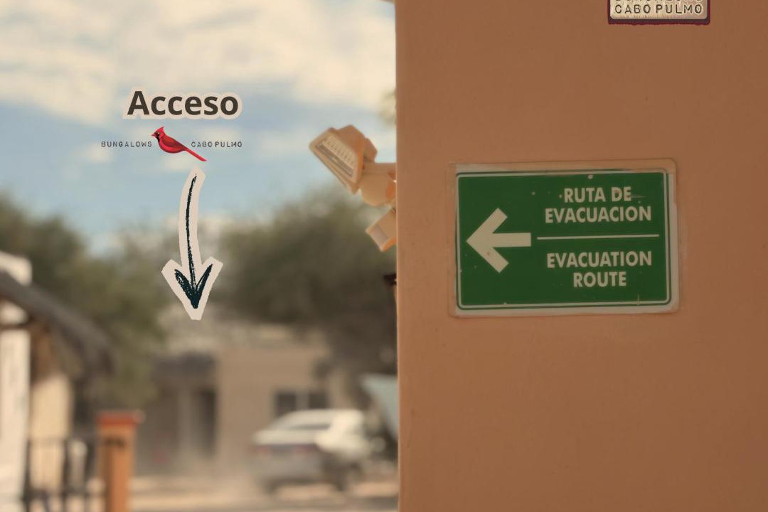 Photo of Others in Cabo Pulmo