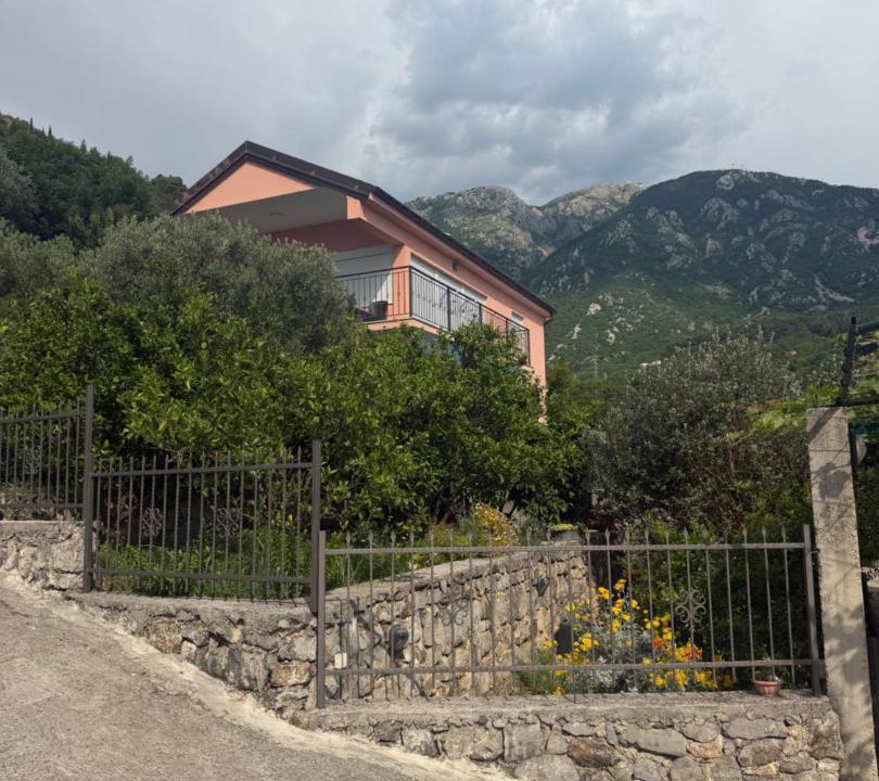 Photo of Others in Kotor