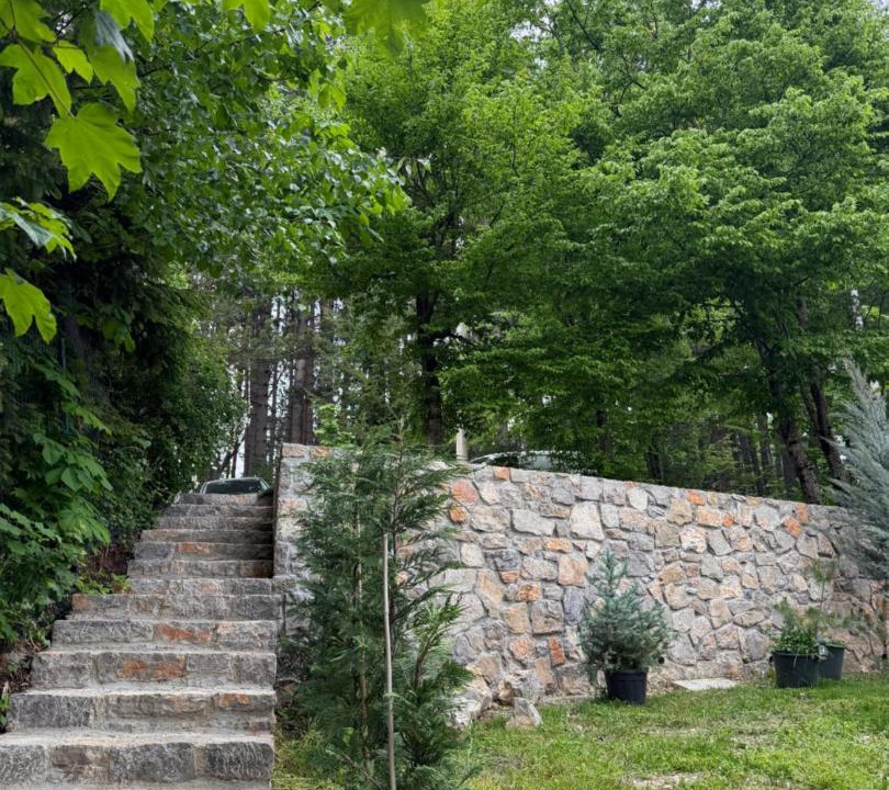 Photo of Others in Kolasin