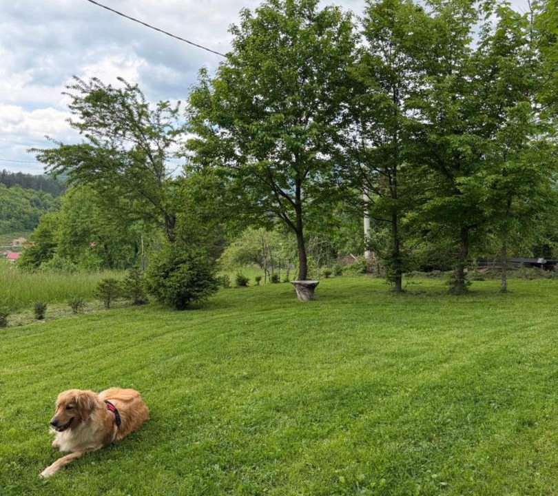 Photo of Others in Kolasin