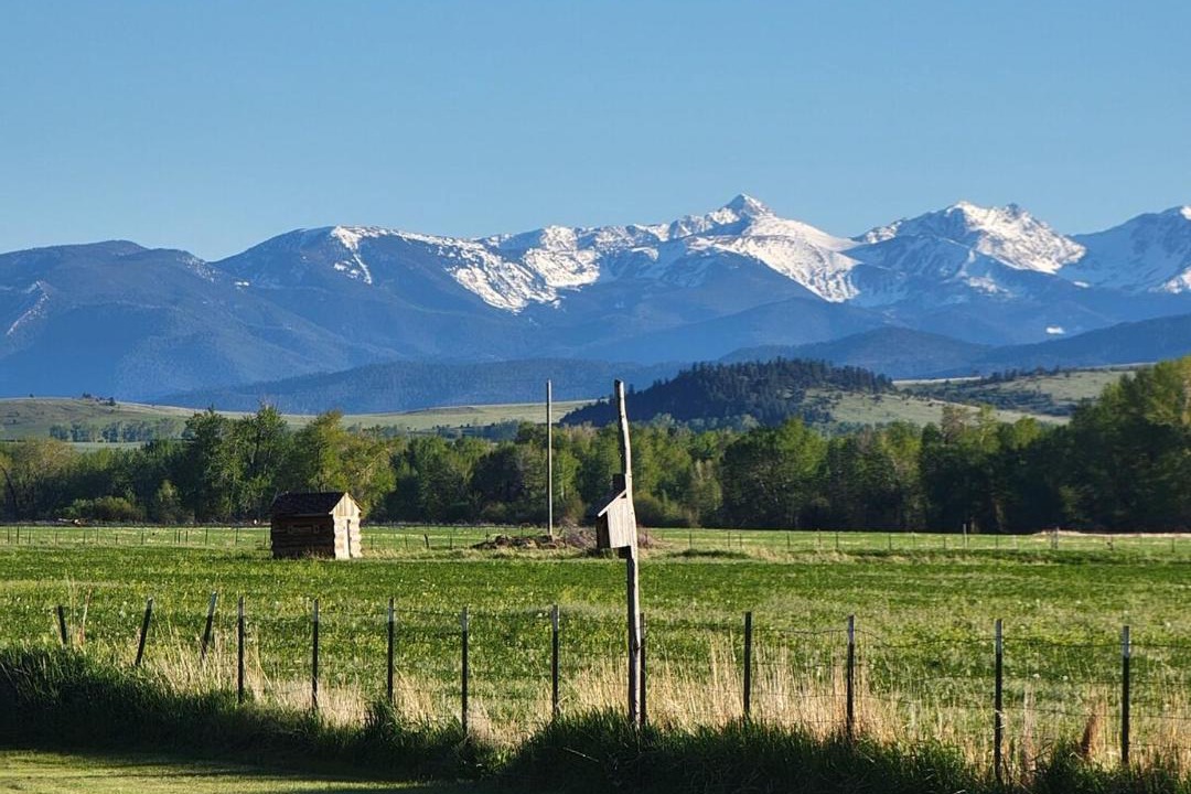 Photo of Others in Bozeman