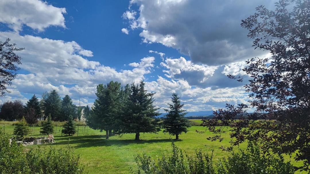 Photo of Others in Bozeman