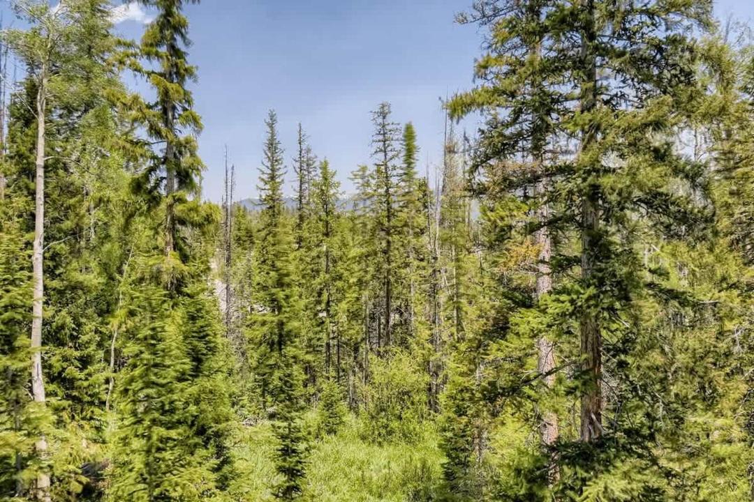 Photo of Others in Wildernest