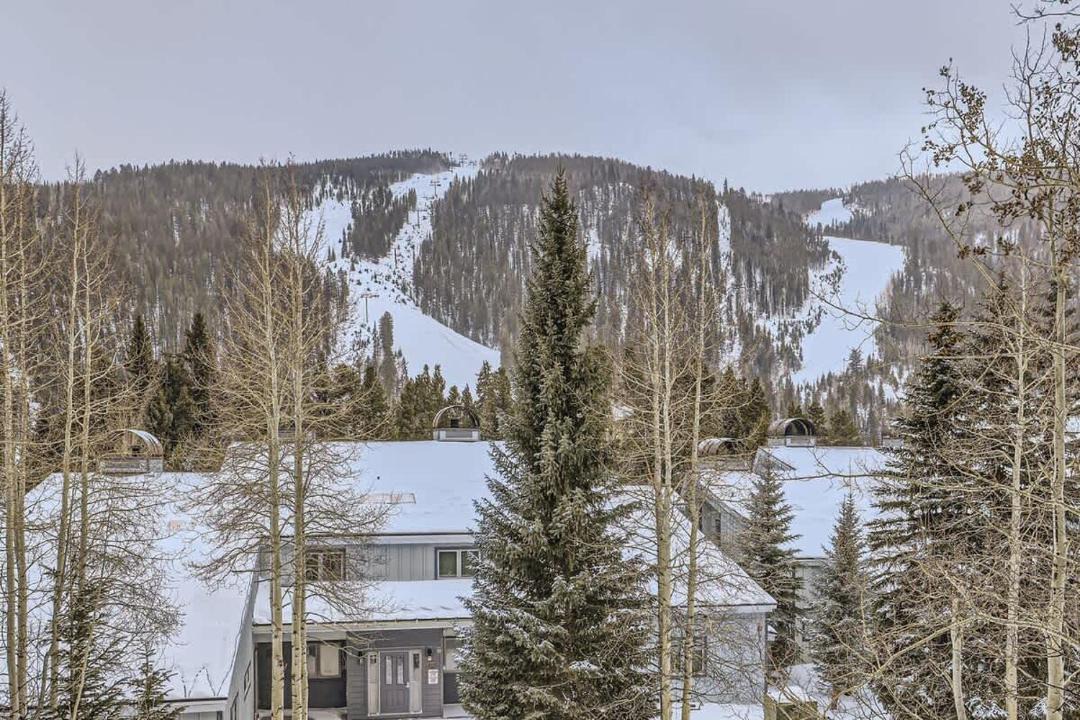 Photo of Others in Mountain House