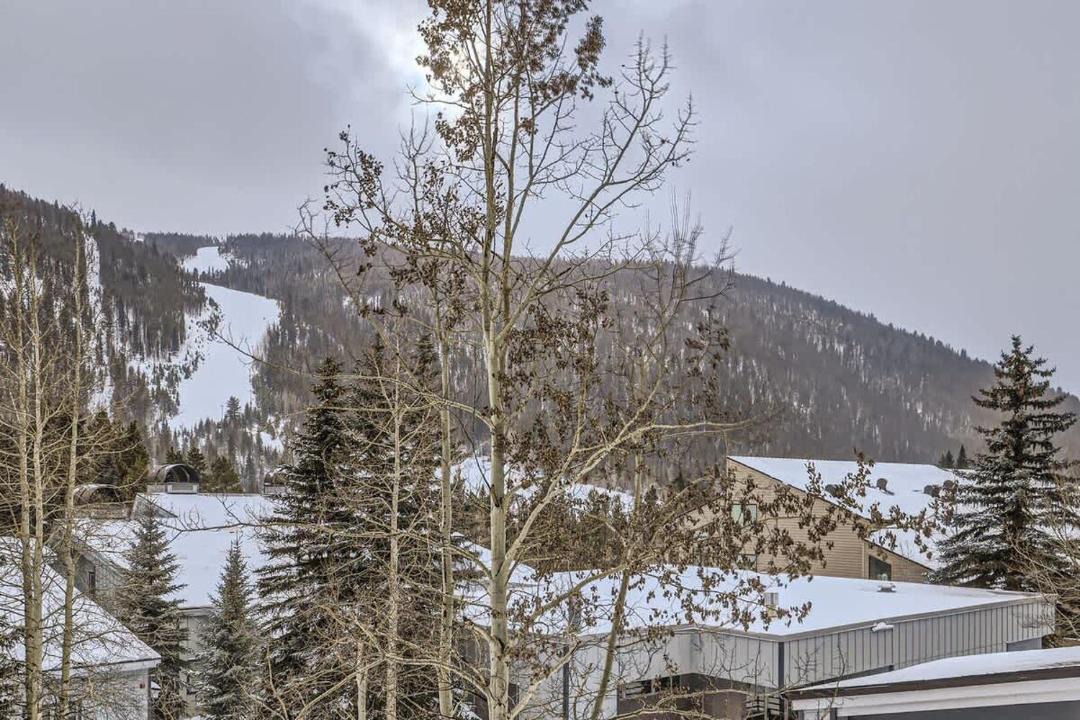 Photo of Others in Mountain House