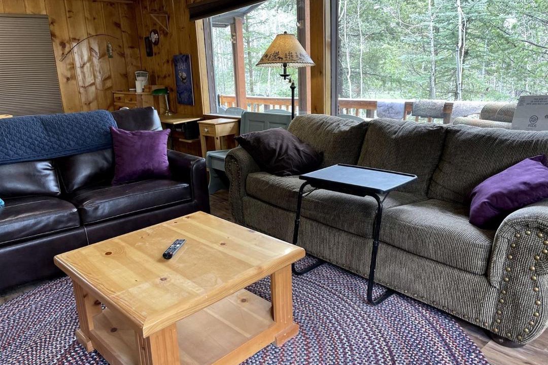 Photo of Livingroom in Last Chance