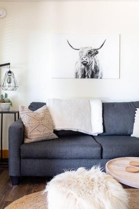 Photo of Livingroom in Steamboat Springs